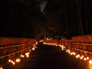 かぐやの夕べ01